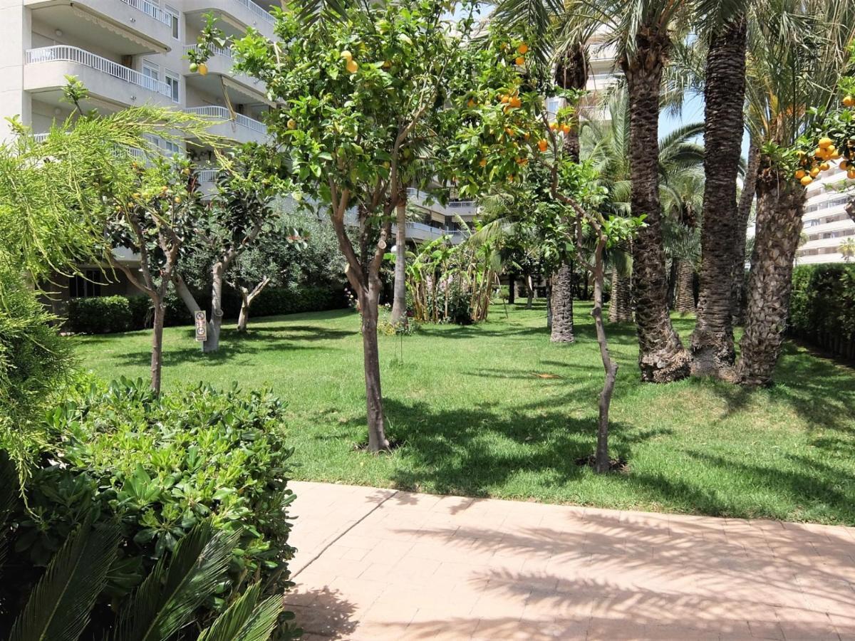 Parque Mota - Alquiler Solo A Familias Apartment Playa de Gandia Ngoại thất bức ảnh