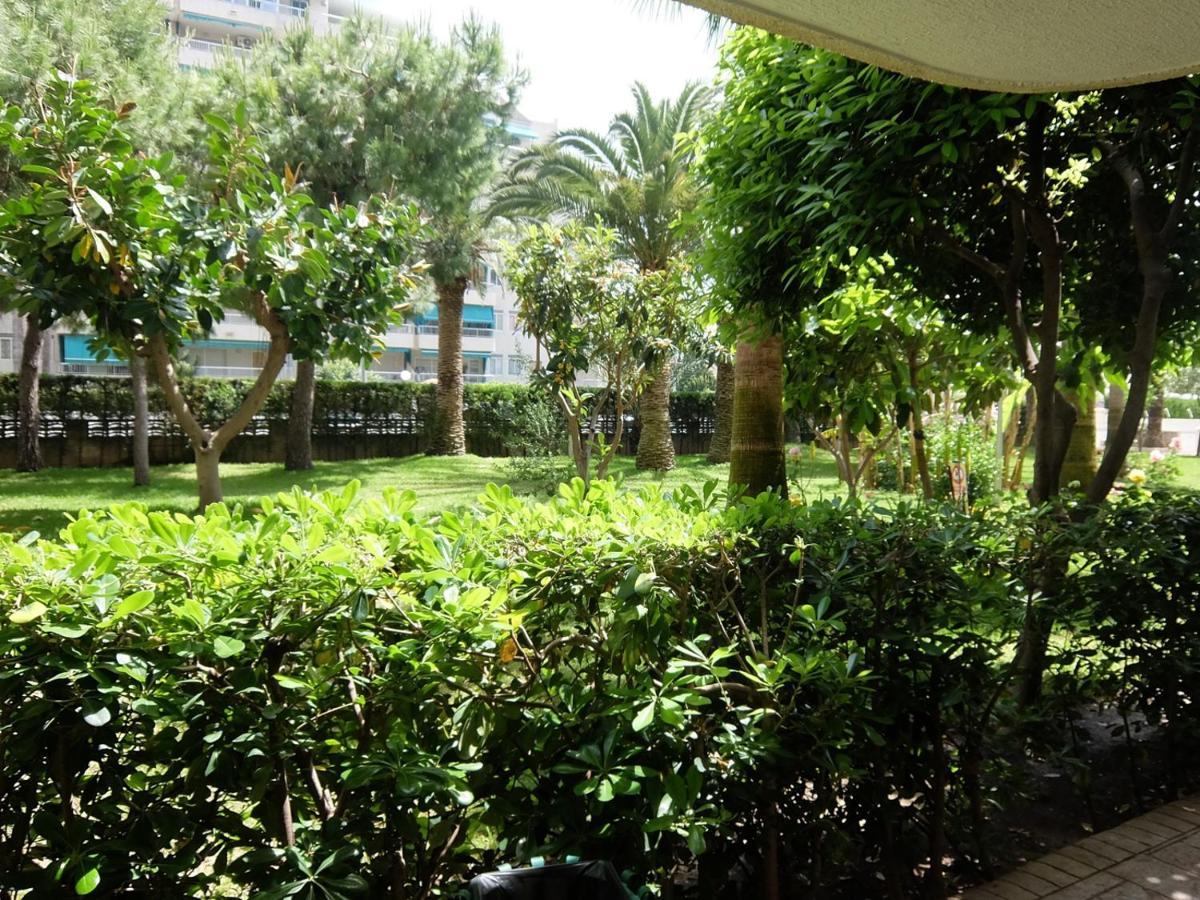 Parque Mota - Alquiler Solo A Familias Apartment Playa de Gandia Ngoại thất bức ảnh